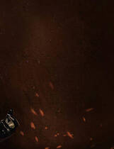 A0579 - 莉莉丝崛起-第一季 Build.12279014-1.0.2S+DLC 多结局免安装STEAM中文版[2.51GB]