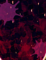 A0831 - 黑兽2‧改 Build.12627227 STEAM+全DLC+外传附录+漫画 免安装中文版[5.75GB]