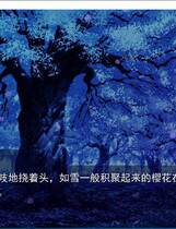 580 - ことり Love Ex P 小鸟 Love Ex 汉化硬盘去广告纯净版